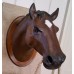 Horse Bust Horse Bust